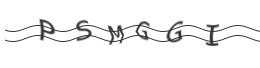 raptcha.png